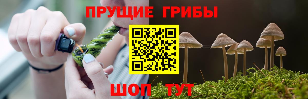 Галлюциногенные грибы MAGIC MUSHROOMS  Псилоцибиновые грибы Psilocybe  даркнет сайт  Горячий Ключ  Вход с VPN 